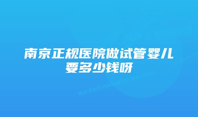 南京正规医院做试管婴儿要多少钱呀