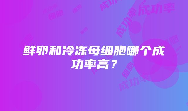 鲜卵和冷冻母细胞哪个成功率高？