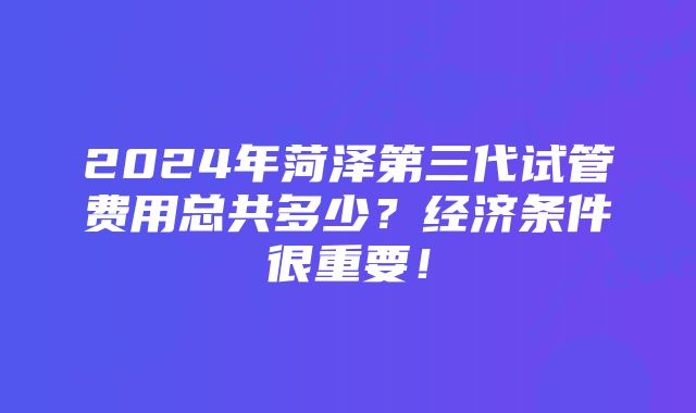 2024年菏泽第三代试管费用总共多少？经济条件很重要！