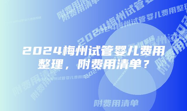 2024梅州试管婴儿费用整理，附费用清单？