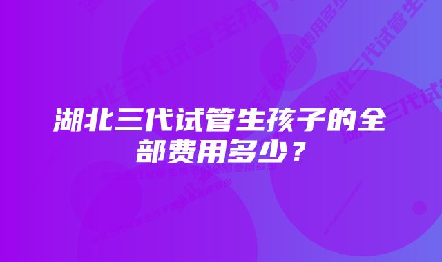 湖北三代试管生孩子的全部费用多少？