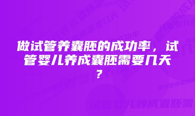 做试管养囊胚的成功率，试管婴儿养成囊胚需要几天？