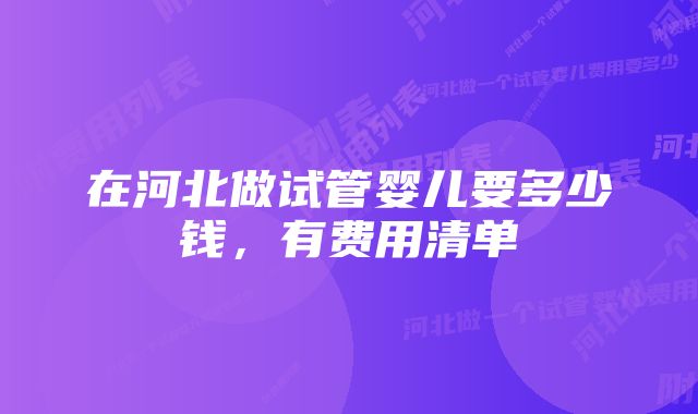 在河北做试管婴儿要多少钱，有费用清单