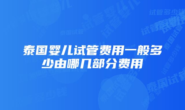 泰国婴儿试管费用一般多少由哪几部分费用