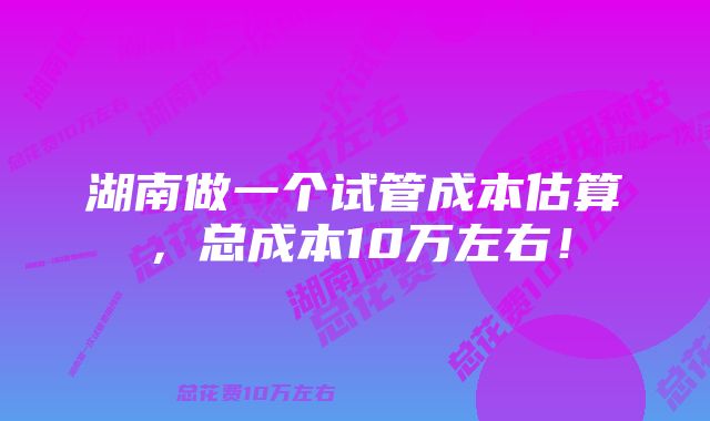 湖南做一个试管成本估算，总成本10万左右！