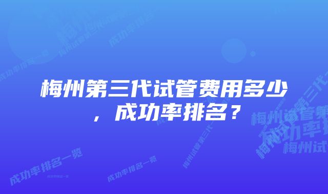 梅州第三代试管费用多少，成功率排名？