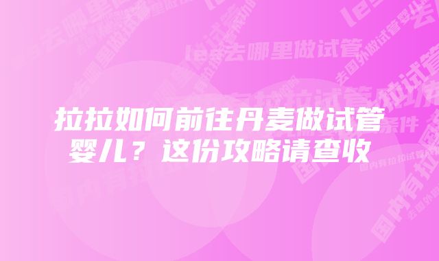 拉拉如何前往丹麦做试管婴儿？这份攻略请查收