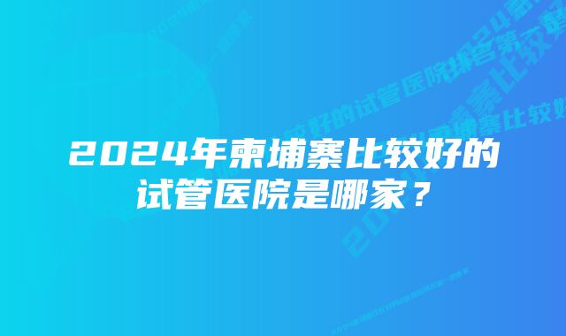 2024年柬埔寨比较好的试管医院是哪家？