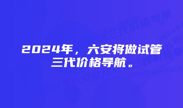 2024年，六安将做试管三代价格导航。