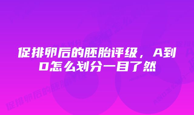 促排卵后的胚胎评级，A到D怎么划分一目了然