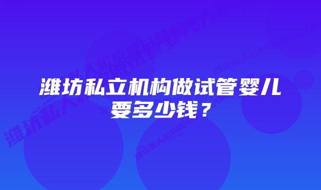 潍坊私立机构做试管婴儿要多少钱？