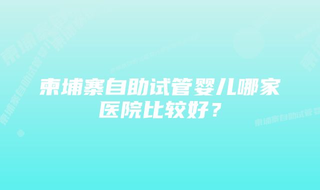 柬埔寨自助试管婴儿哪家医院比较好？