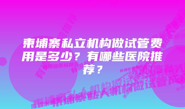 柬埔寨私立机构做试管费用是多少？有哪些医院推荐？