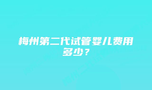 梅州第二代试管婴儿费用多少？