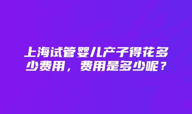 上海试管婴儿产子得花多少费用，费用是多少呢？