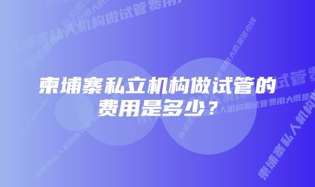 柬埔寨私立机构做试管的费用是多少？