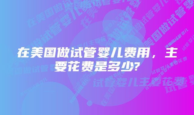 在美国做试管婴儿费用，主要花费是多少?