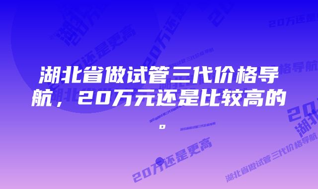 湖北省做试管三代价格导航，20万元还是比较高的。