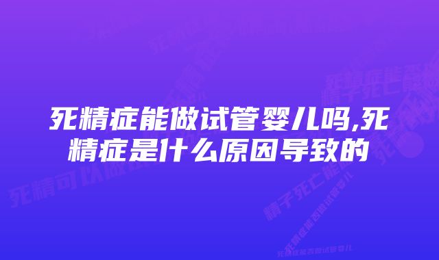 死精症能做试管婴儿吗,死精症是什么原因导致的