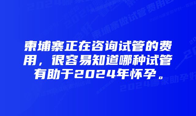 柬埔寨正在咨询试管的费用，很容易知道哪种试管有助于2024年怀孕。