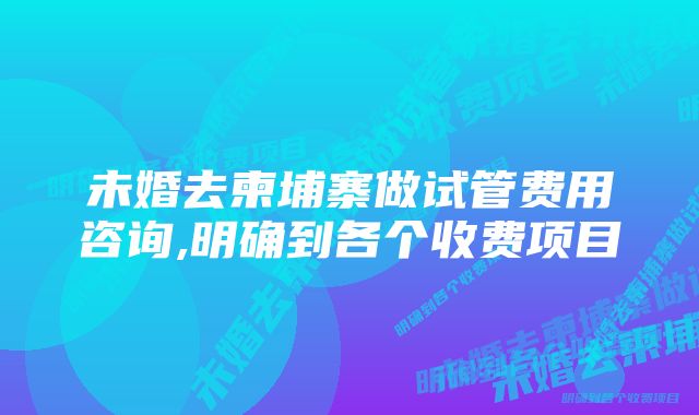 未婚去柬埔寨做试管费用咨询,明确到各个收费项目