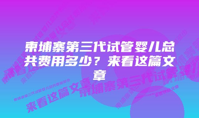 柬埔寨第三代试管婴儿总共费用多少？来看这篇文章