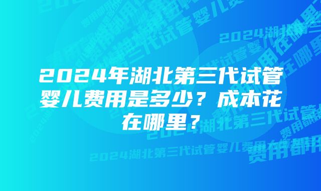 2024年湖北第三代试管婴儿费用是多少？成本花在哪里？