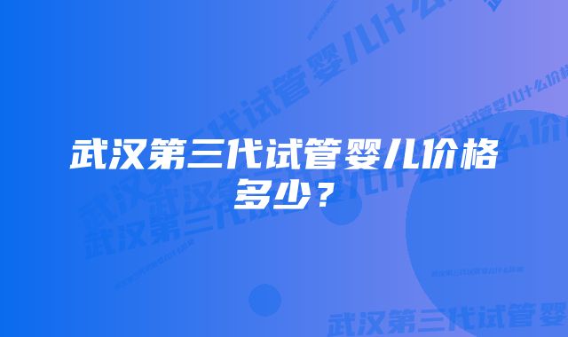 武汉第三代试管婴儿价格多少？