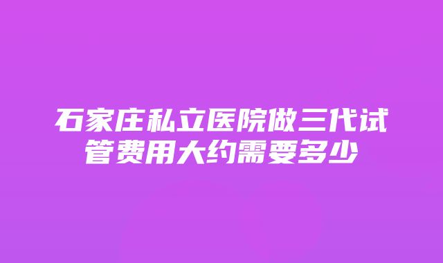 石家庄私立医院做三代试管费用大约需要多少