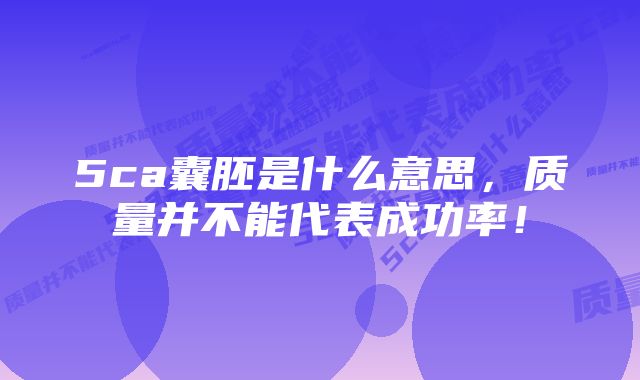 5ca囊胚是什么意思，质量并不能代表成功率！