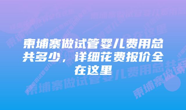 柬埔寨做试管婴儿费用总共多少，详细花费报价全在这里