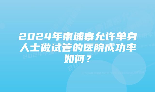 2024年柬埔寨允许单身人士做试管的医院成功率如何？