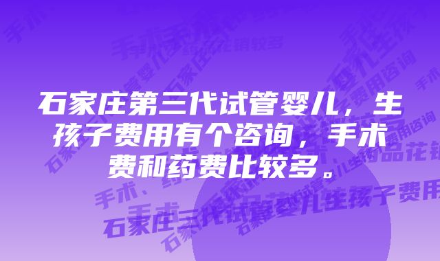 石家庄第三代试管婴儿，生孩子费用有个咨询，手术费和药费比较多。