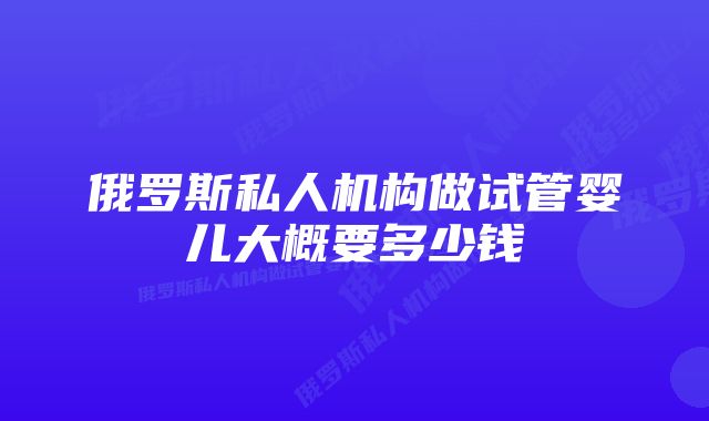 俄罗斯私人机构做试管婴儿大概要多少钱