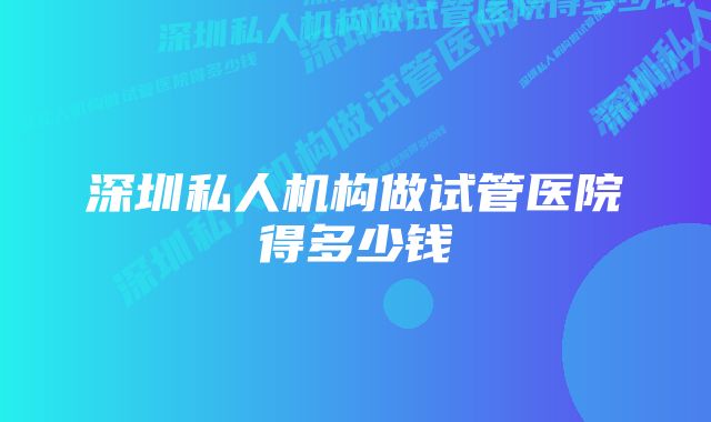 深圳私人机构做试管医院得多少钱