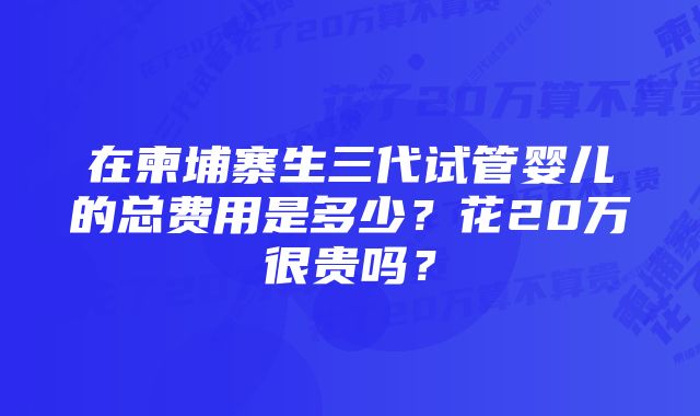 在柬埔寨生三代试管婴儿的总费用是多少？花20万很贵吗？