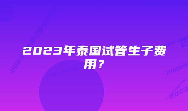 2023年泰国试管生子费用？