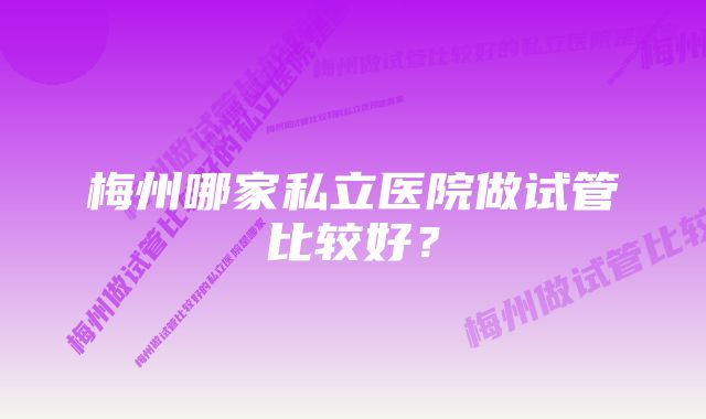 梅州哪家私立医院做试管比较好？