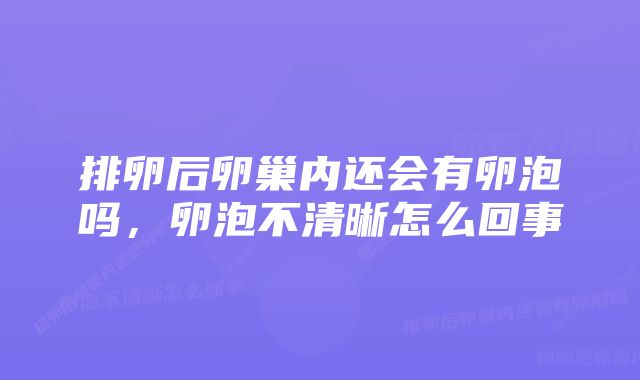 排卵后卵巢内还会有卵泡吗，卵泡不清晰怎么回事