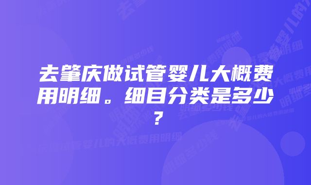 去肇庆做试管婴儿大概费用明细。细目分类是多少？