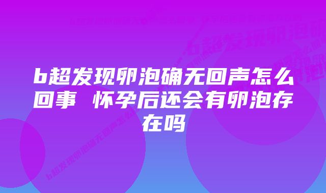 b超发现卵泡确无回声怎么回事 怀孕后还会有卵泡存在吗