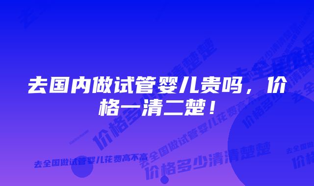 去国内做试管婴儿贵吗，价格一清二楚！