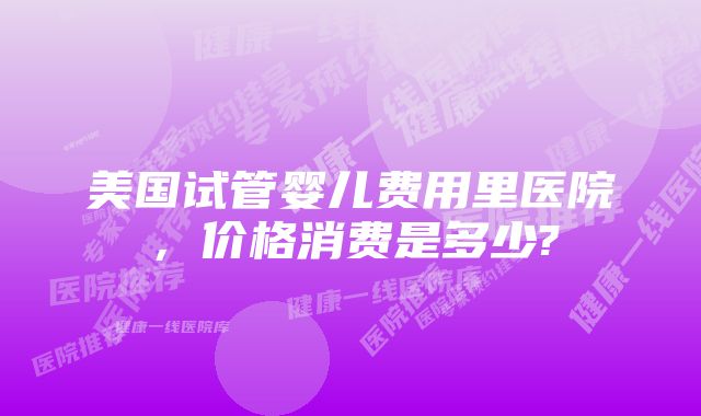 美国试管婴儿费用里医院，价格消费是多少?