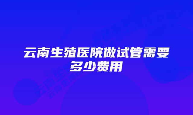 云南生殖医院做试管需要多少费用