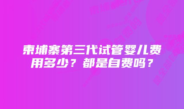 柬埔寨第三代试管婴儿费用多少？都是自费吗？