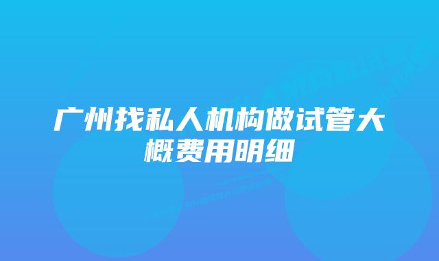 广州找私人机构做试管大概费用明细