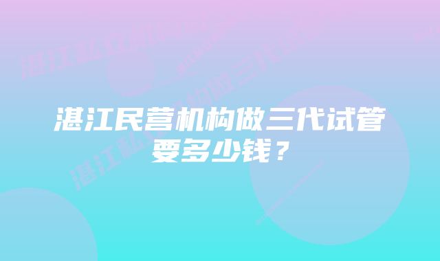 湛江民营机构做三代试管要多少钱？