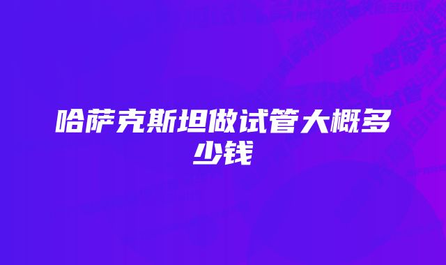 哈萨克斯坦做试管大概多少钱