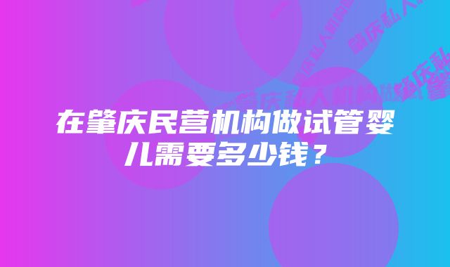 在肇庆民营机构做试管婴儿需要多少钱？