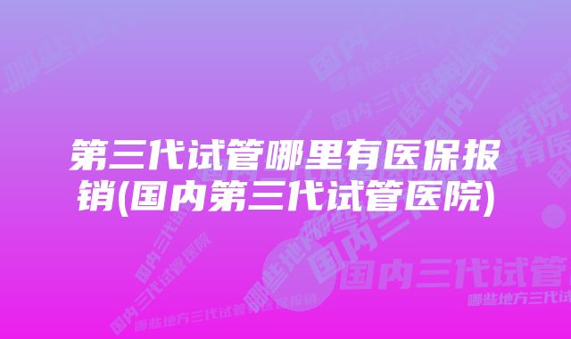 第三代试管哪里有医保报销(国内第三代试管医院)